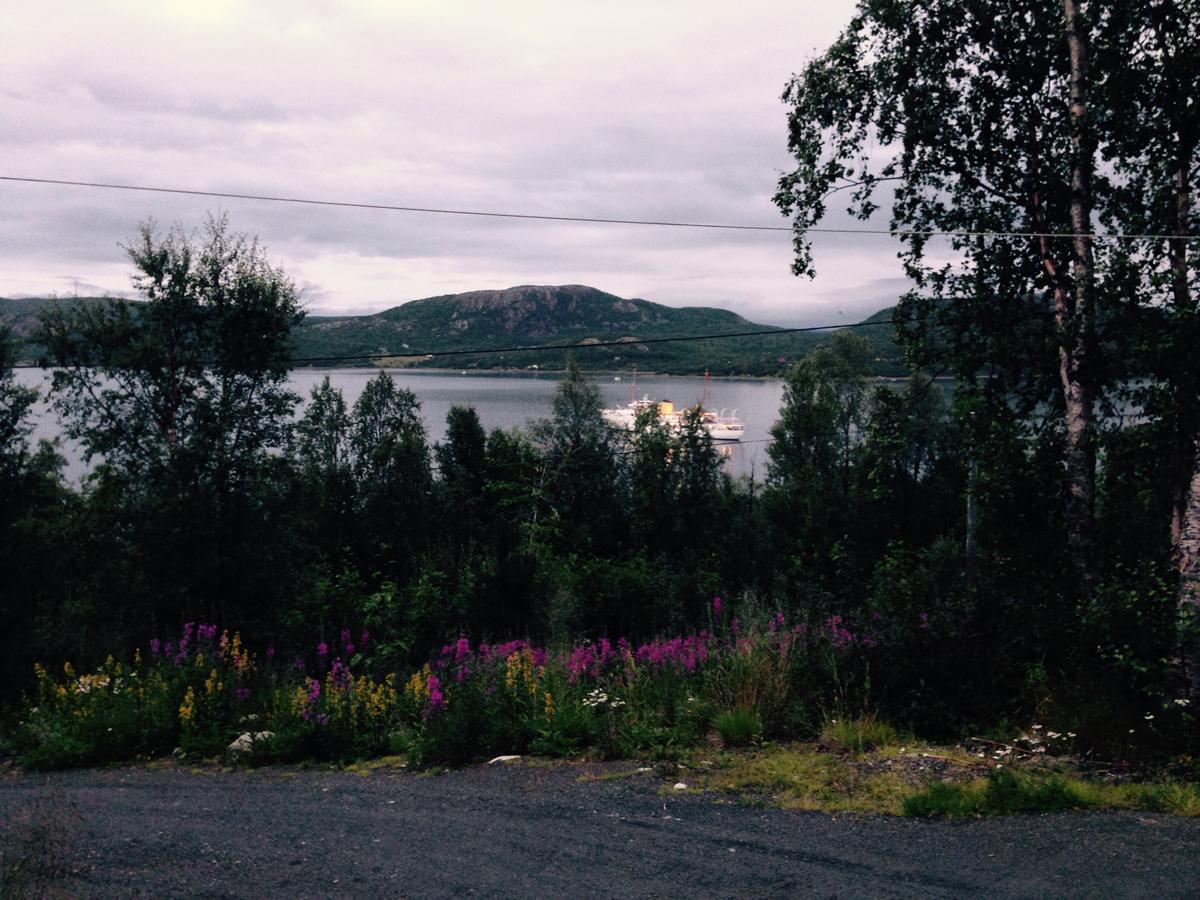 Jarfjord Arctic Aurora Lodge Karpbukt 외부 사진